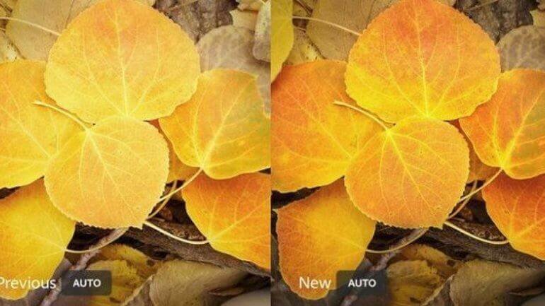 Adobe Lightroom mobil sürüme yeni özellikler eklendi